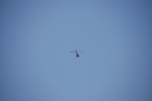 porcabarcelona_2010-05-23_13-50-37_-n1